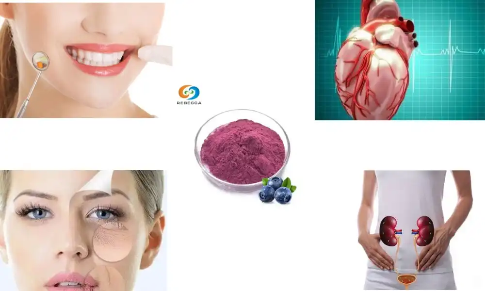 How much cranberry extract is safe per day?